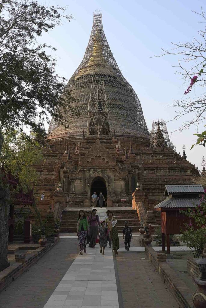 DHAMMA YA ZIKA Pagode