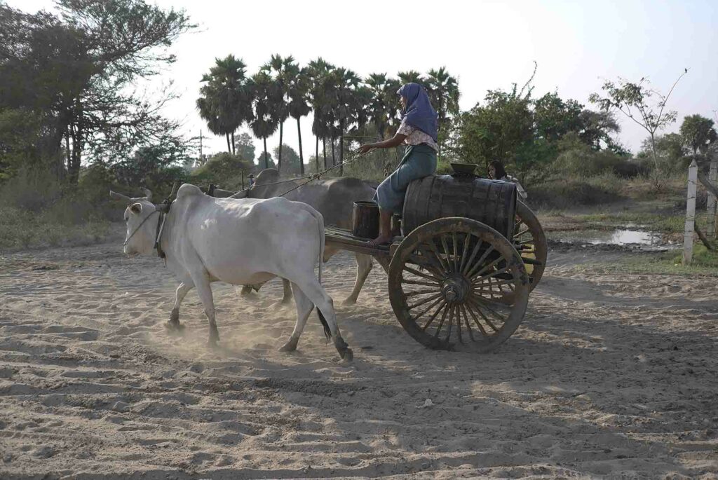 l'arrivée à BAGAN