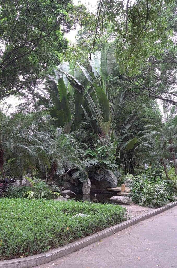le Jardin tropical sur l'ile de SAMIAN