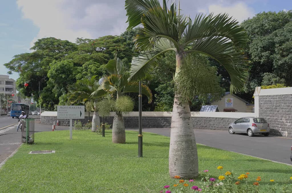 L'entrée de MONTMARTRE