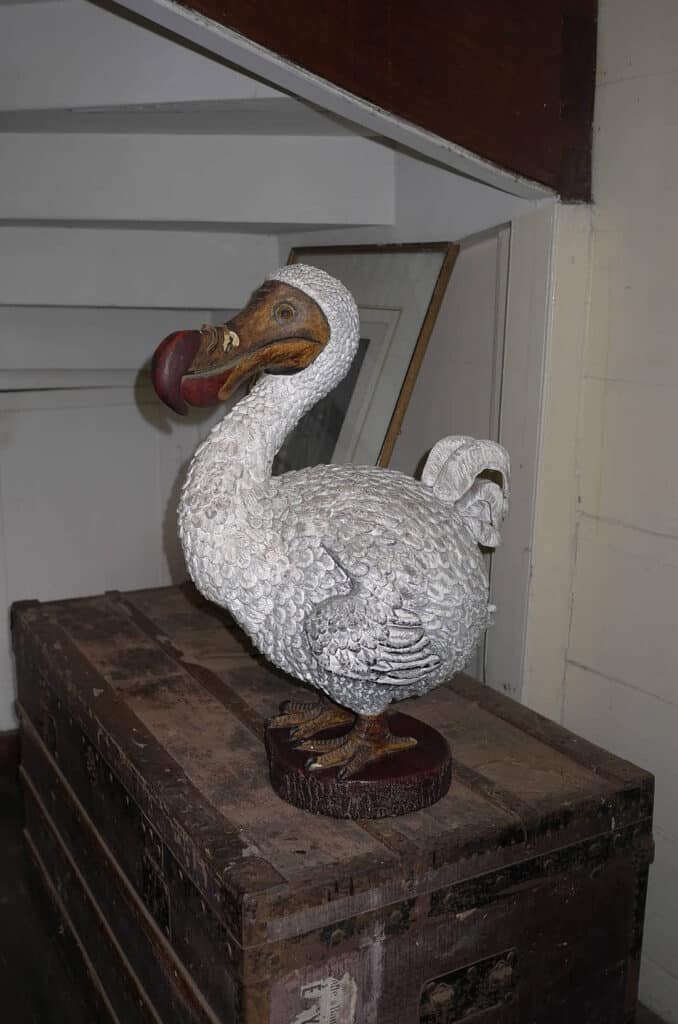EUREKA, representation du DODO