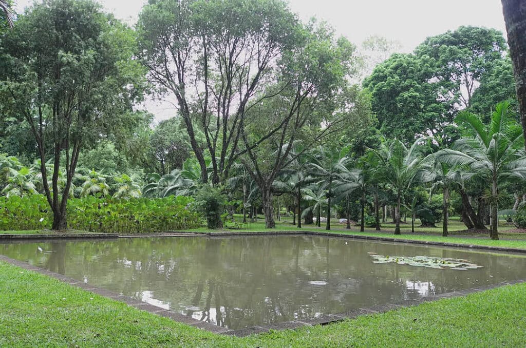 Les plans d'eau de Pamplemousse