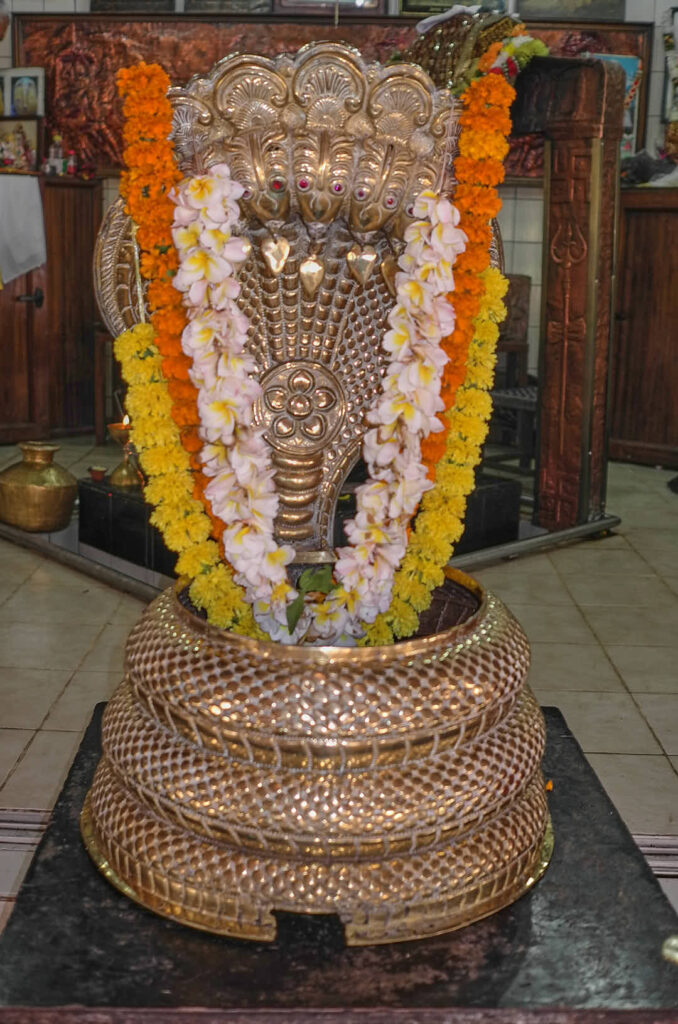 Le NAJA du temple de Grand Bassin