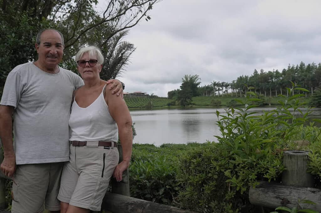 Les cultures de Thé de BOIS CHERI